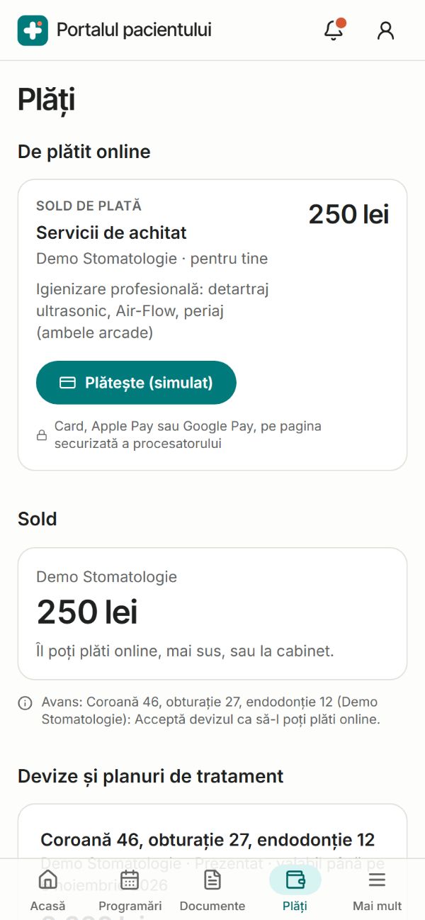 Plățile în portalul pacientului: devizul cu ratele lunare simulate și plățile făcute